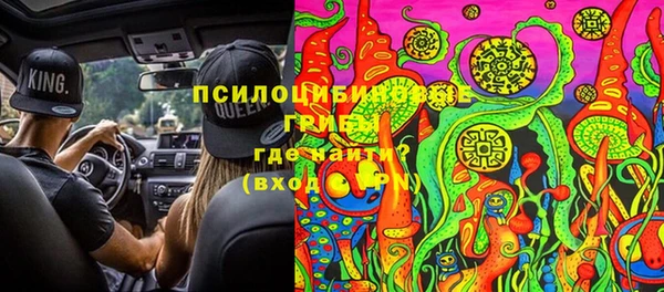 спайс Алзамай