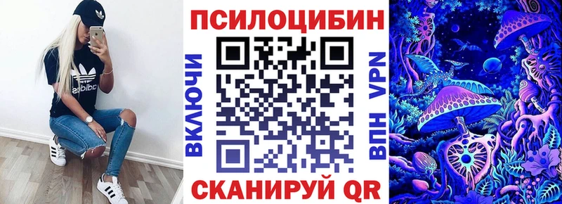 Галлюциногенные грибы Magic Shrooms  где купить наркотик  Волгоград 